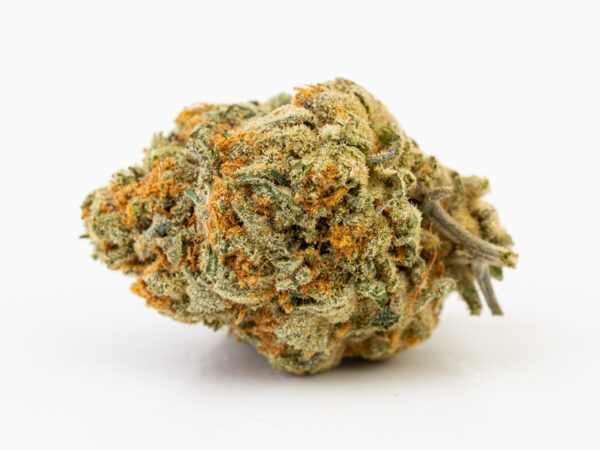 California Haze AAA smalls