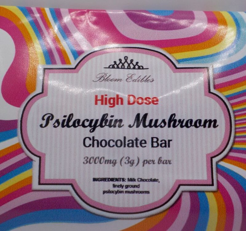 Mushroom Chocolate Bar 3g