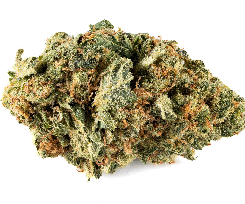 Gorilla Breath AAA-