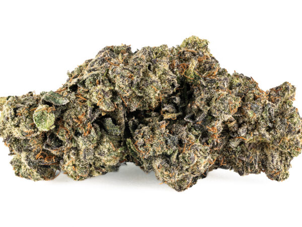 Animal Cookies AAA+