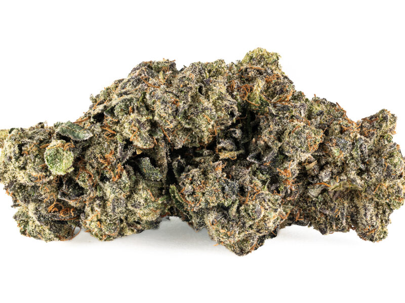 Animal Cookies AAA+