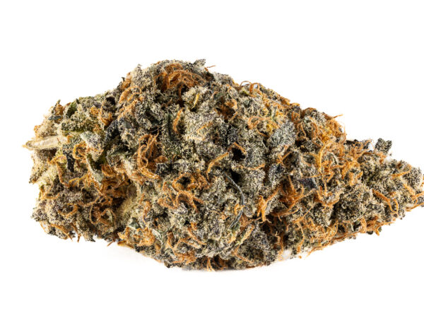 Limited- Night Nurse AAAA