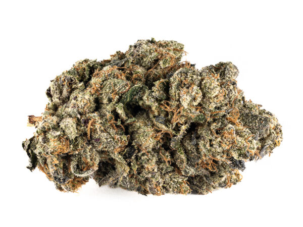 Rockstar Tuna AAA+