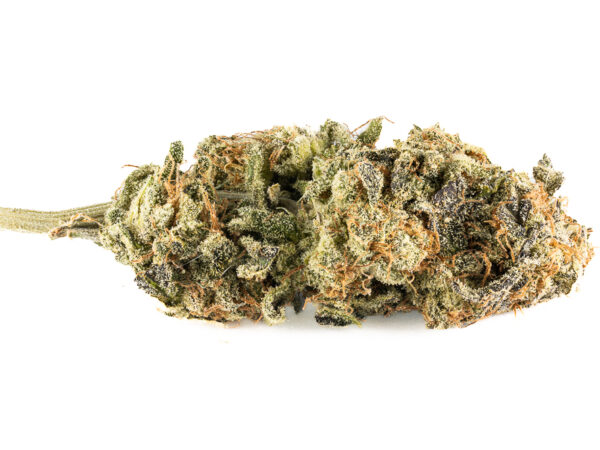 Train Wreck AAAA