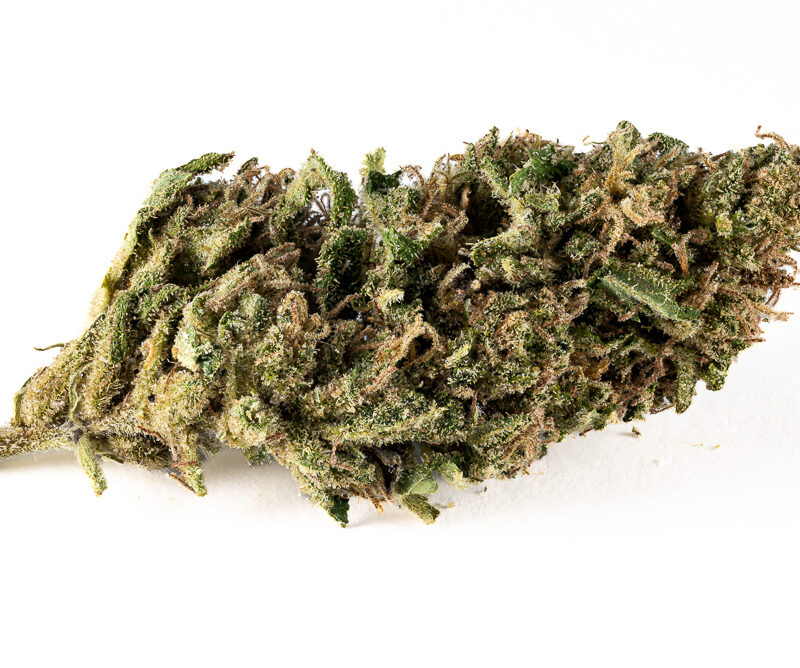 Sour Flower AA